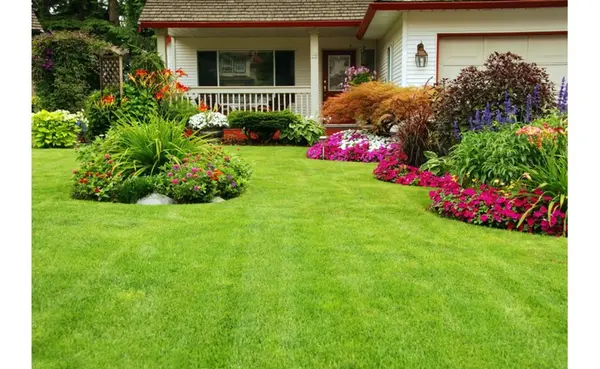 Handaq 5000 square metres of land for rent