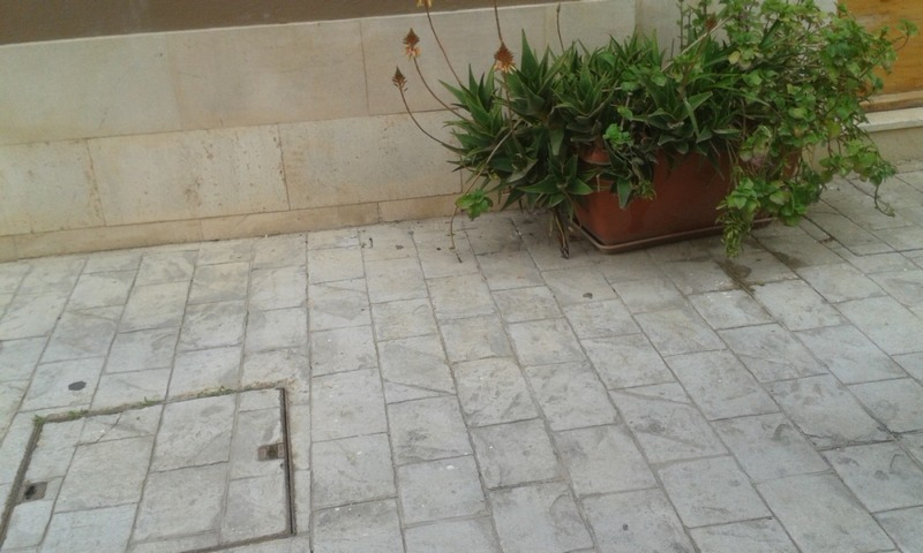 Fully equipped 150 square metre Cafetera Wine-Bar and Restaurant to let in Rabat with terrace