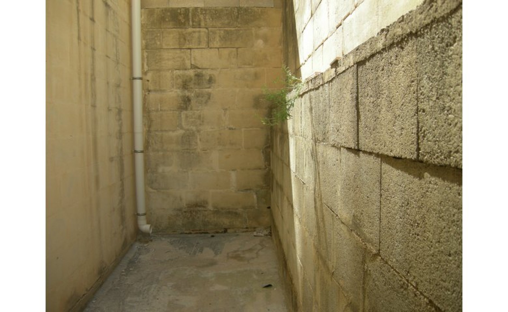 Real estate Malta: Store for rent in Zebbug