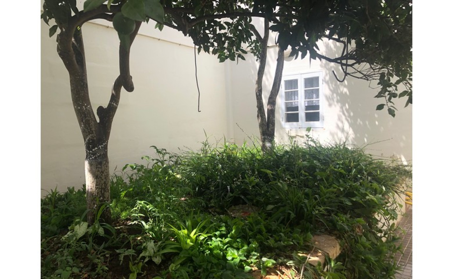 6 bedroom House for rent in Burmarrad ideal for subletting