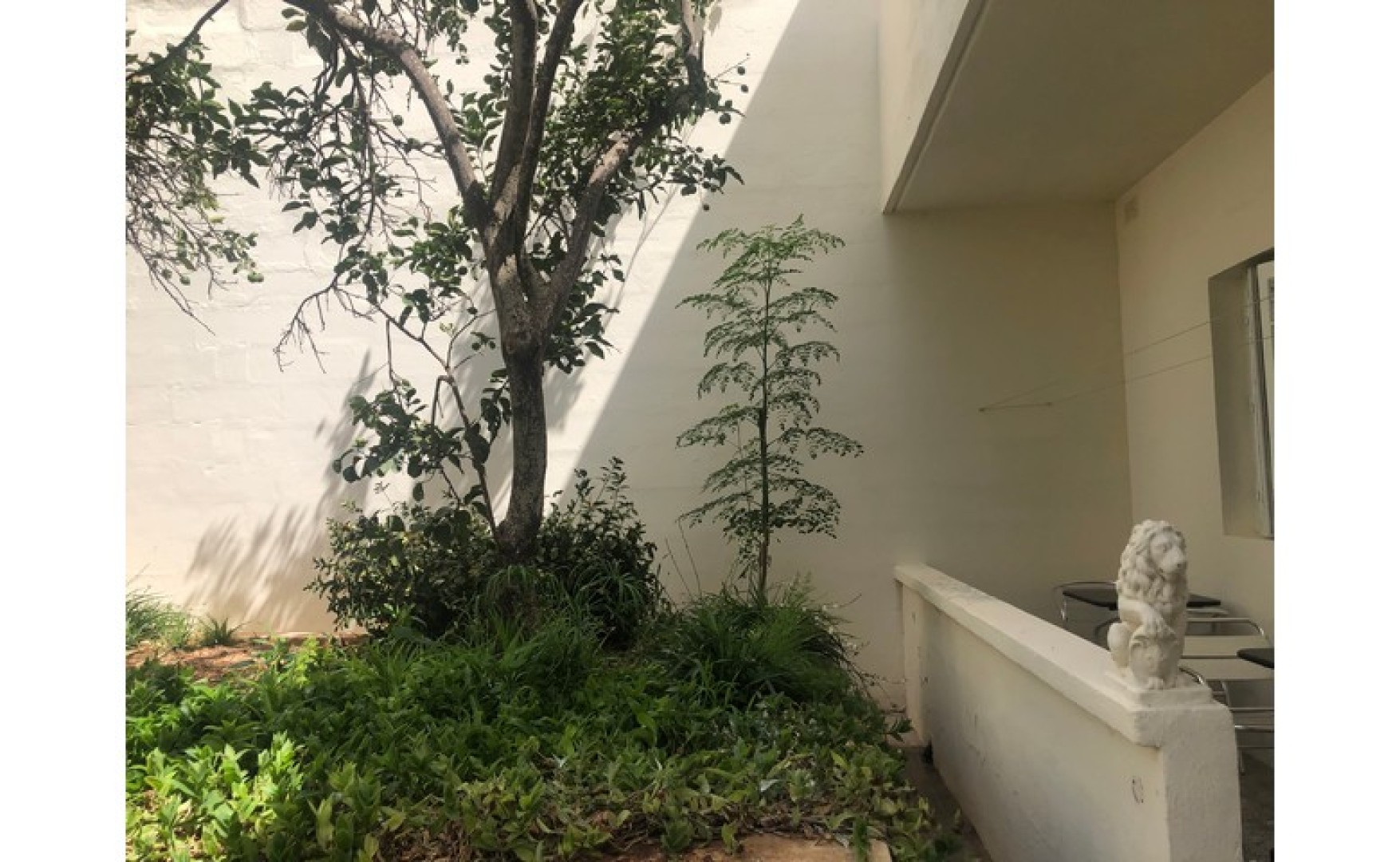 6 bedroom House for rent in Burmarrad ideal for subletting