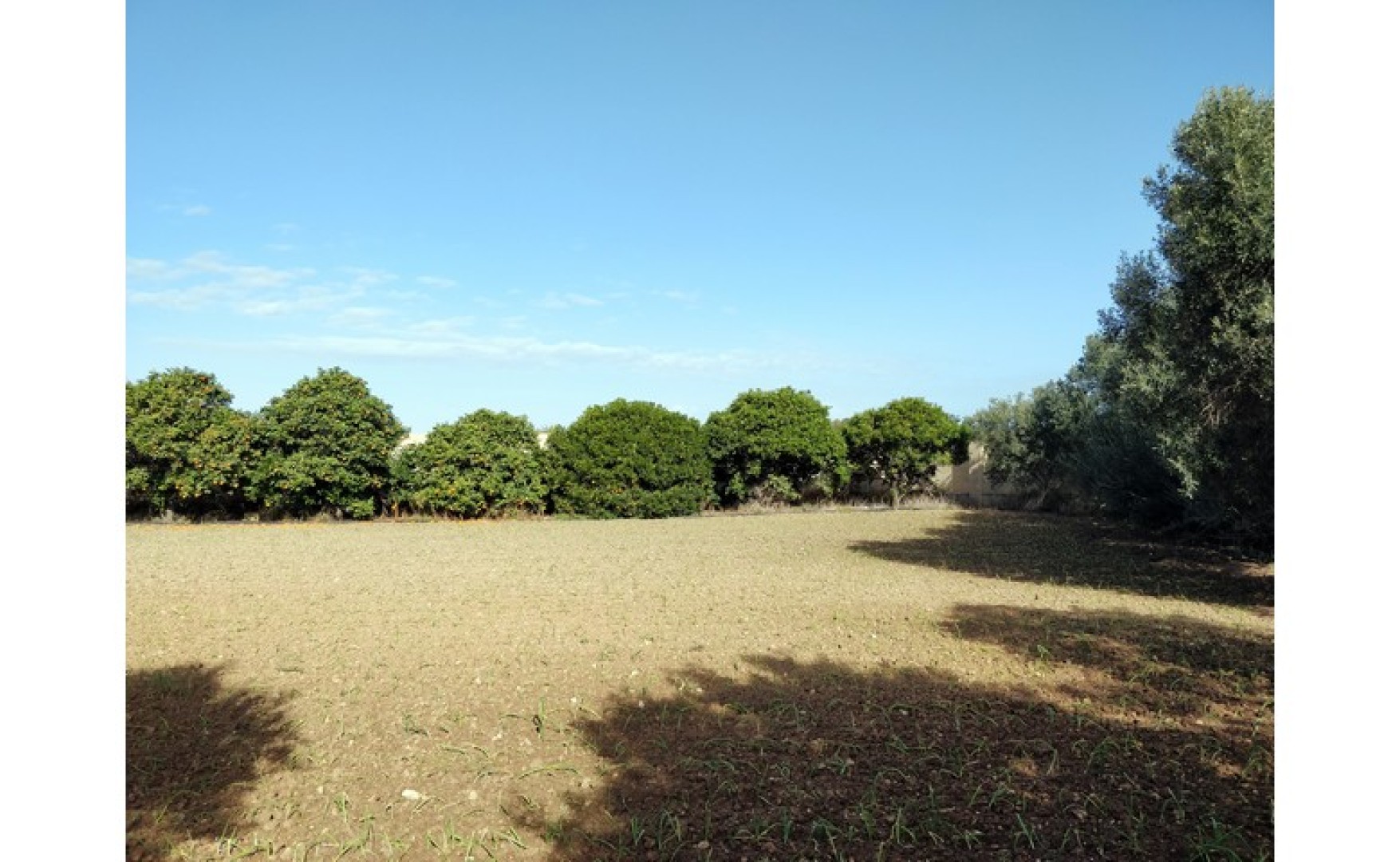 450sqm warehouse for rent in Zebbug