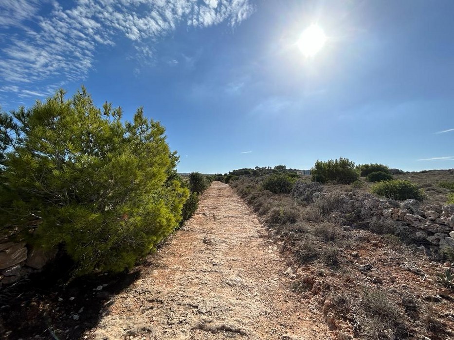 One of a kind Palazzo with Pool and vast Gardens for sale in Wardija