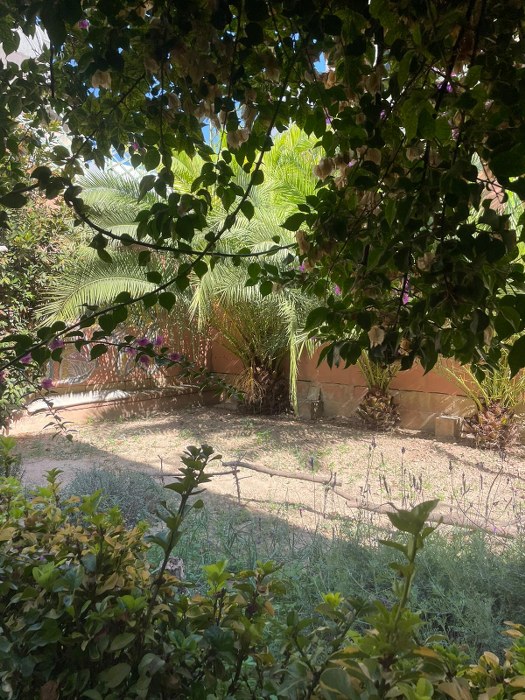 Spacious 5-Bedroom Hostel for Rent in St. Julian's