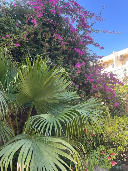 Spacious 5-Bedroom Hostel for Rent in St. Julian's