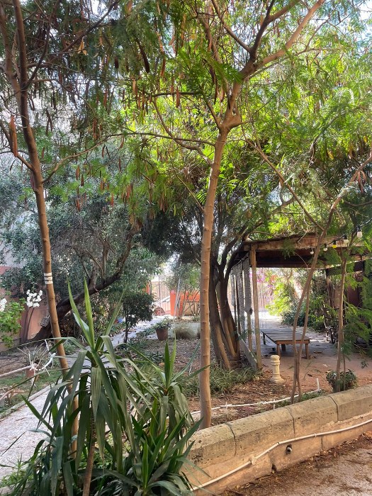 Spacious 5-Bedroom Hostel for Rent in St. Julian's